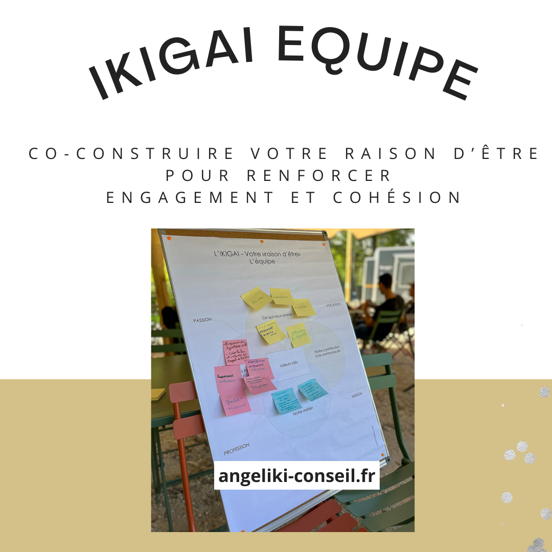 COACHING IKIGAI D'EQUIPE